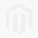 Angled Screw M2.0 x 4.5mm